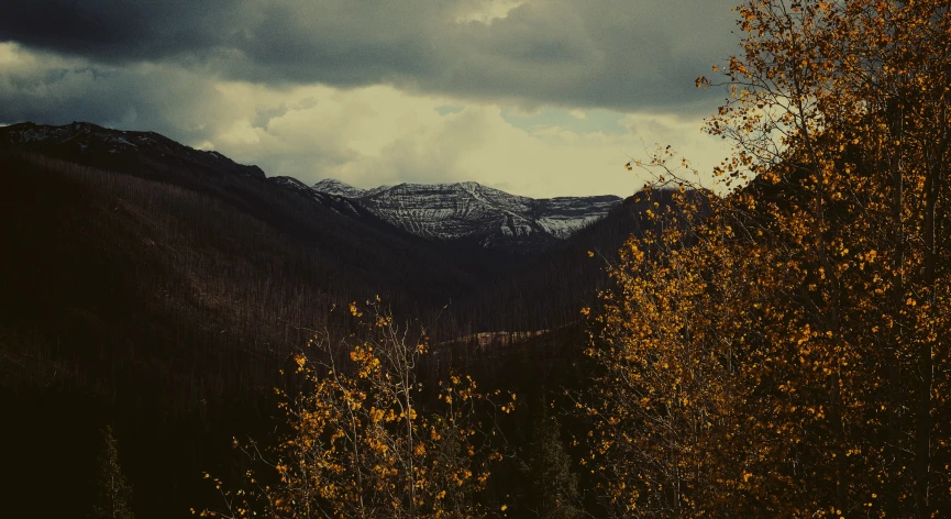 the view from a high altitude trail on a cloudy day