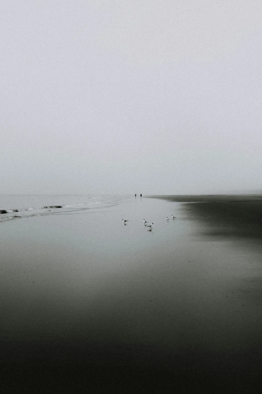 a black and white po of some people on the beach