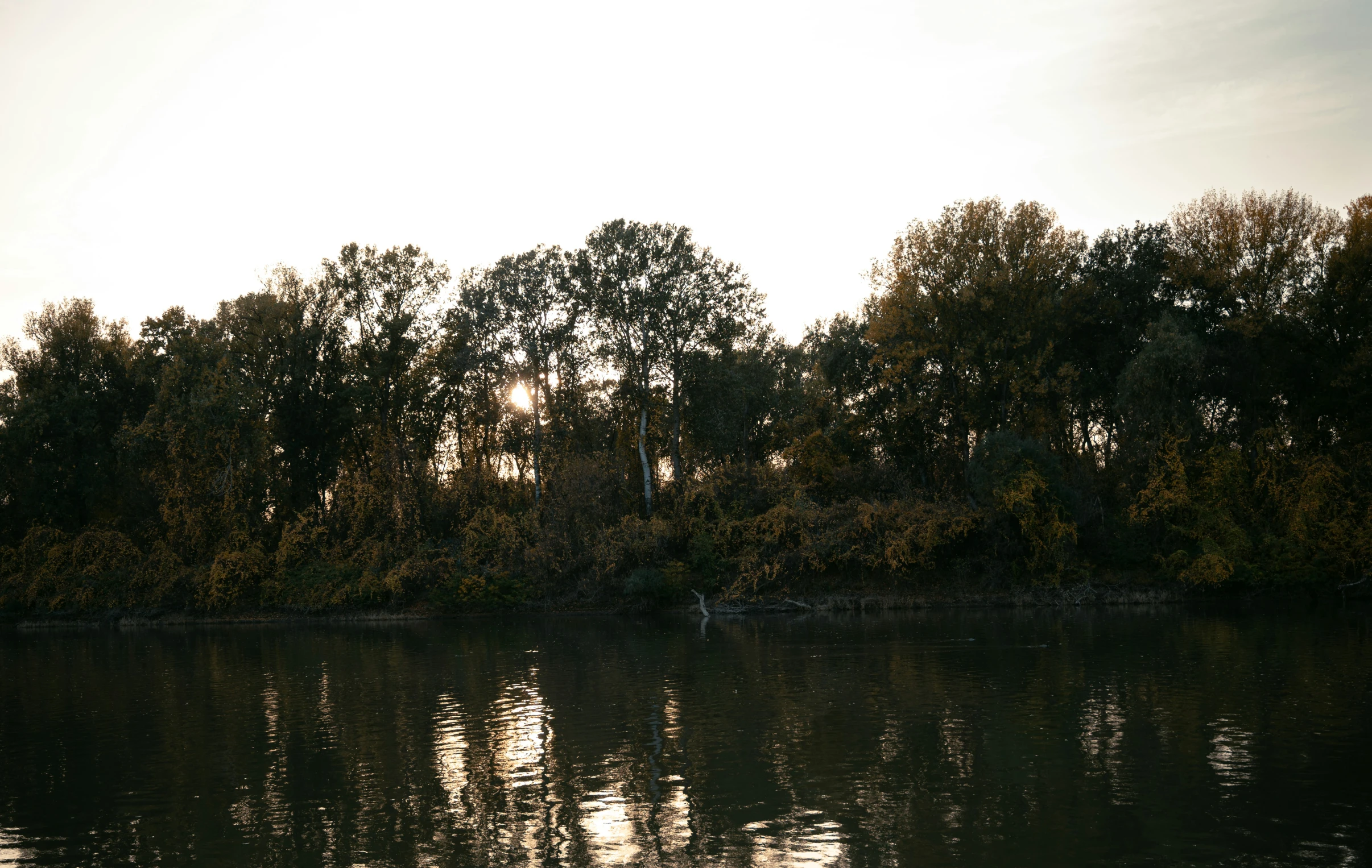 a lake with lots of trees around it