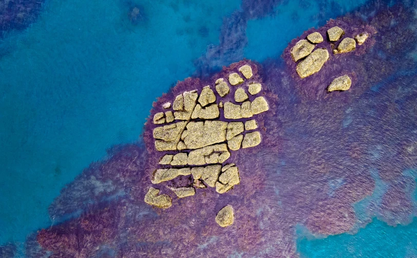 aerial s of blue water with footprints and sand