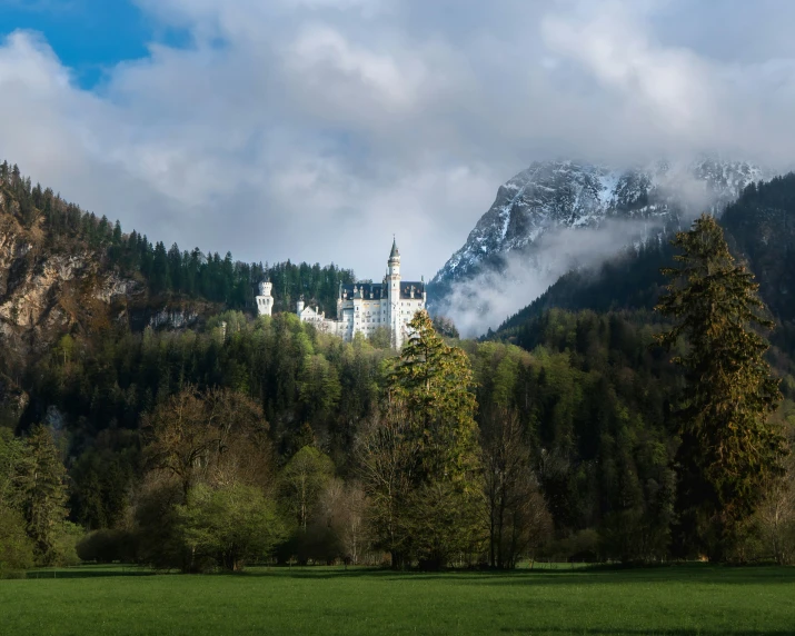 a picture of a castle in the woods