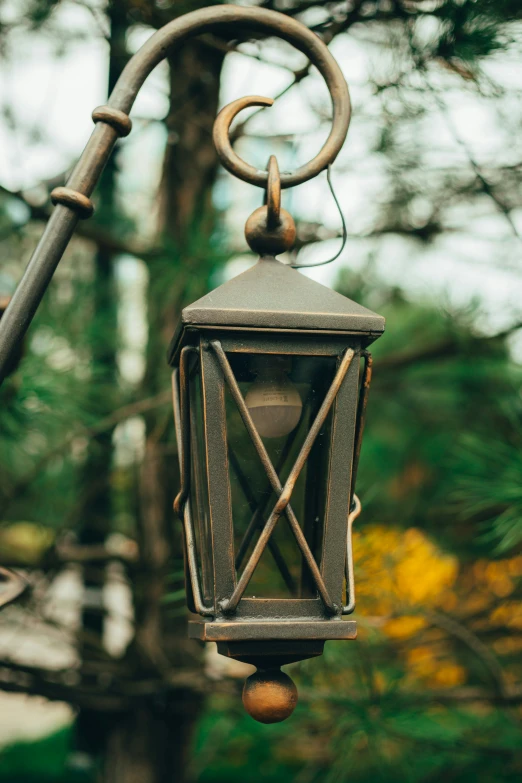 an old, worn and rusty lantern hanging from a tree