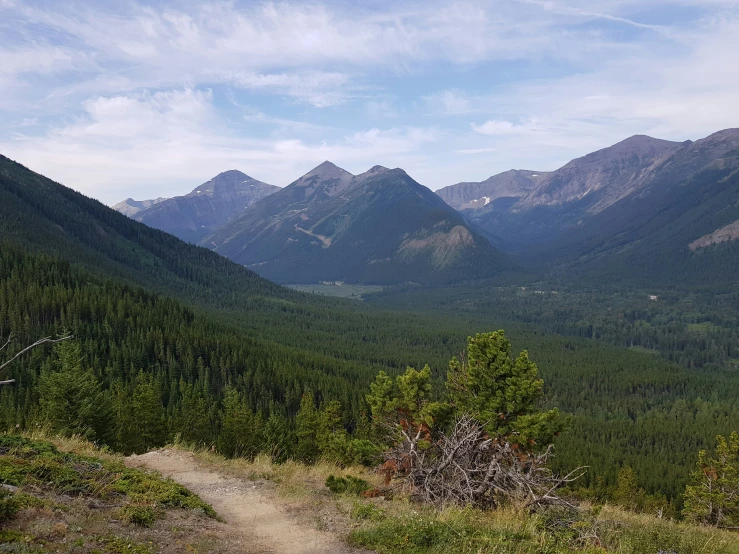 a road winding through the woods with large mountains in the background