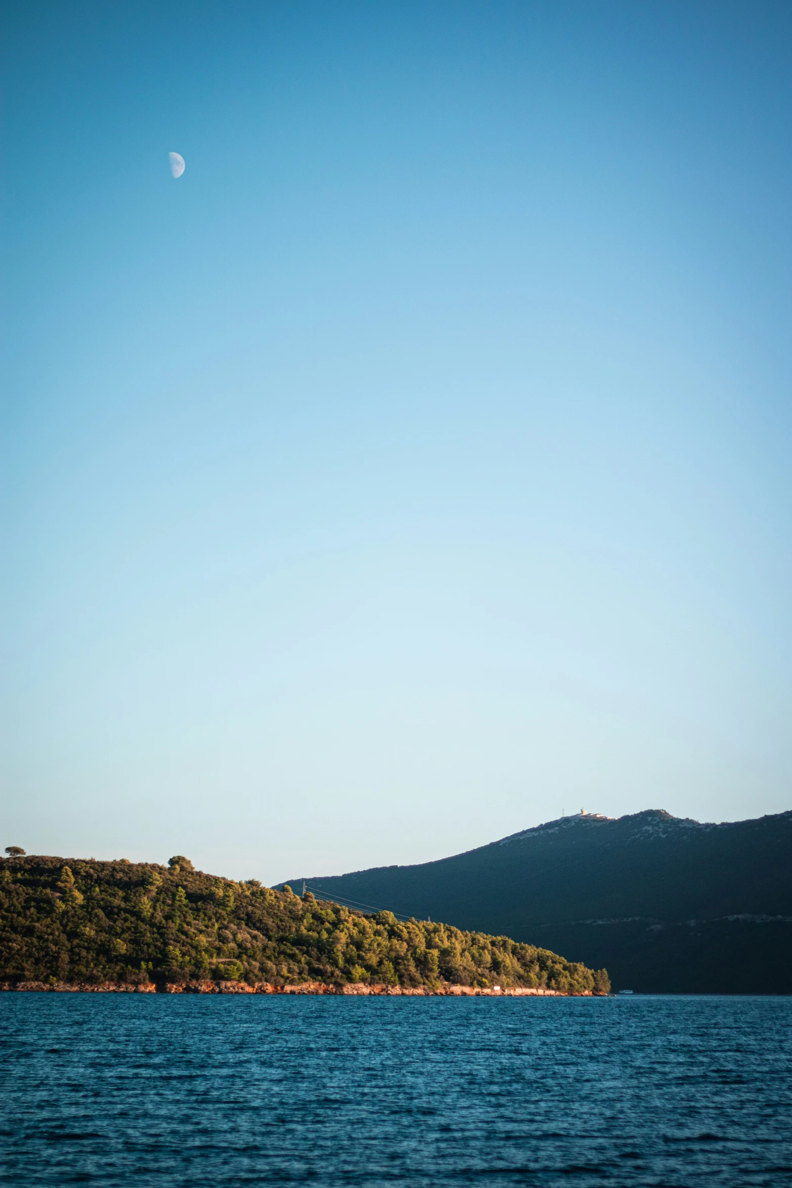 some mountains and trees and water in the background