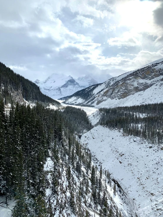 a mountain side area with snow and trees in the foreground