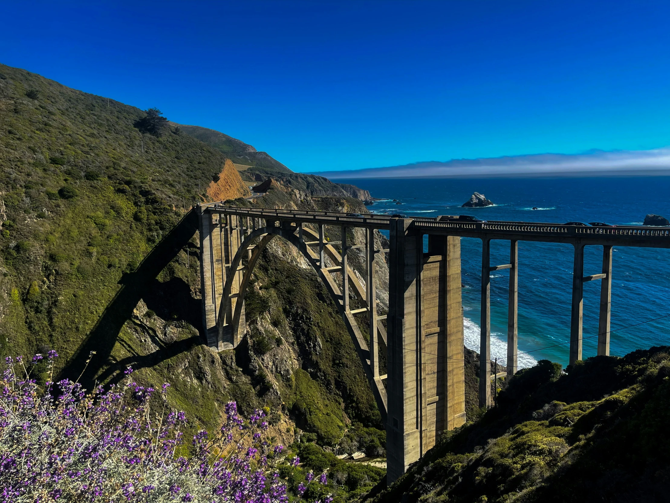 a bridge on top of a cliff with flowers in the foreground