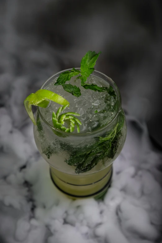 green leaves sprout on a cocktail glass