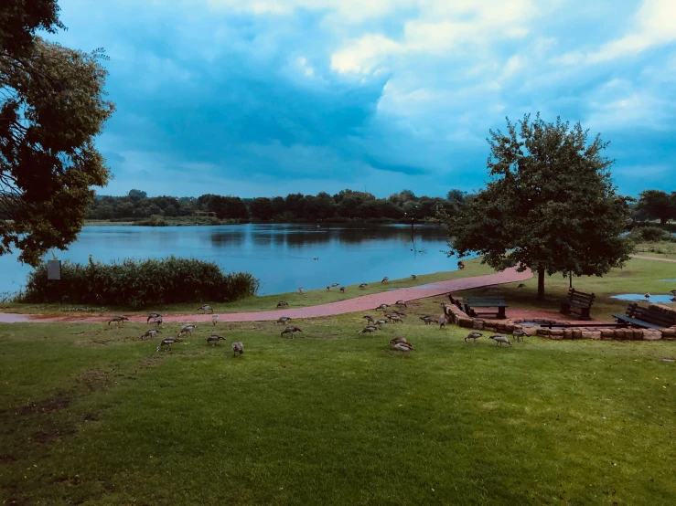 a park bench sitting in the middle of a lake