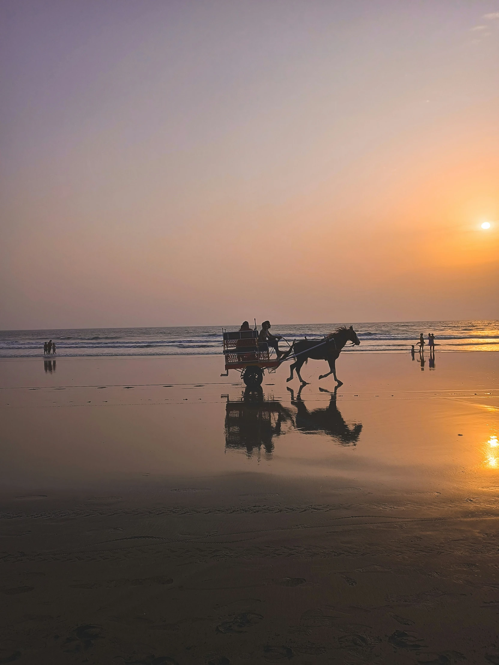 horse pulling carriage on beach at sunrise time