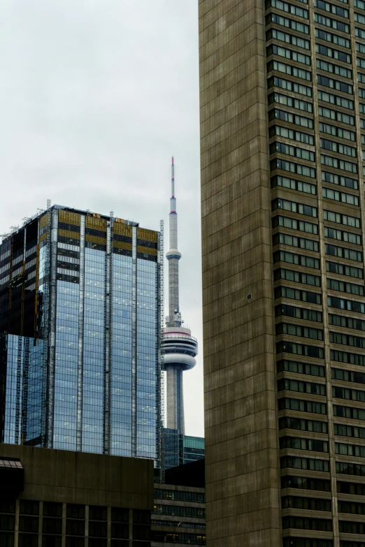 cityscape of skyscrs and a tall building with a television tower in the background