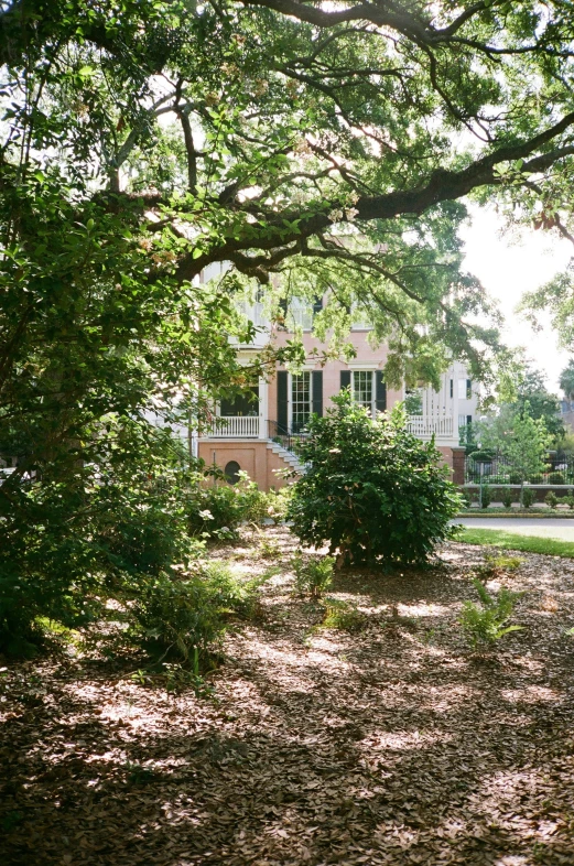 there is a house through the trees on the lawn