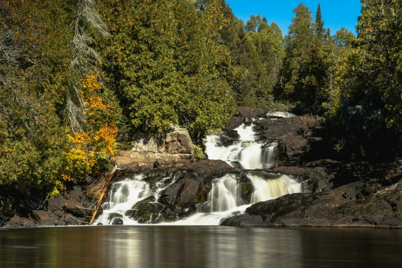 there are a group of tall trees behind the water fall