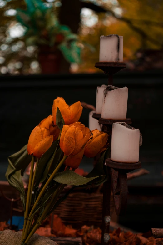 two small candles next to orange flowers and green leaves