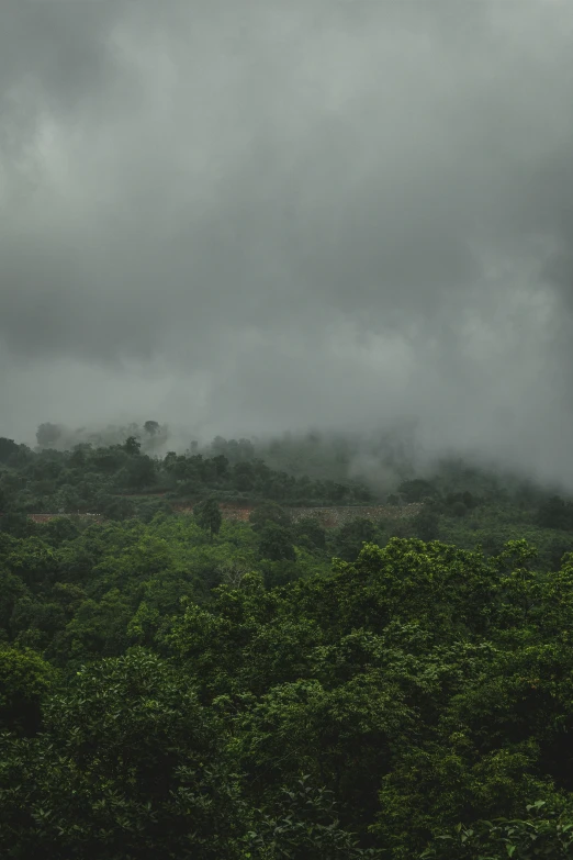 storm clouds hover over a green forest area