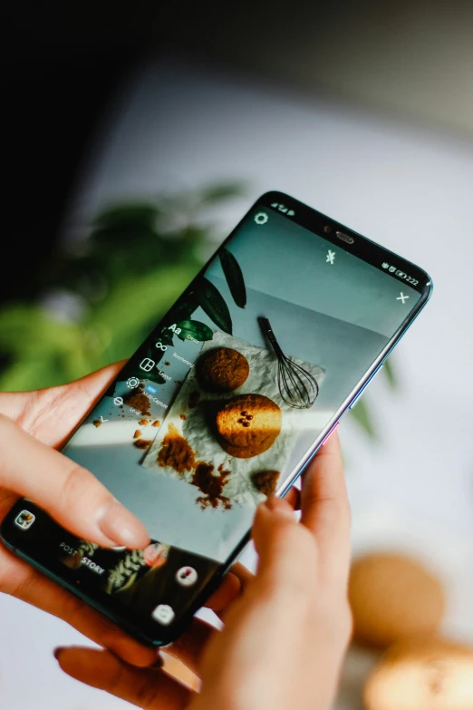 woman holding up cell phone with po of bee and honey on screen