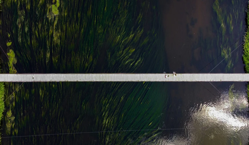 a measuring tape near water with trees on the horizon