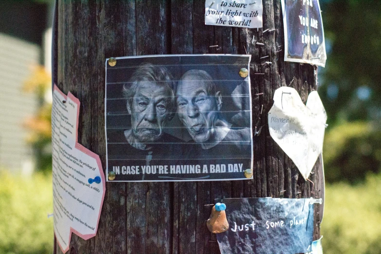 many signs hang from the post of a tree