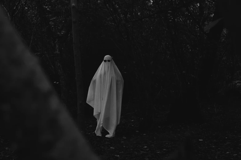 a ghostly person wearing a white ghost costume, standing in a black wooded area