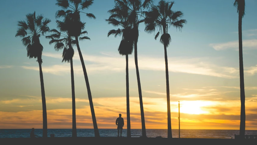 a surfer on the ocean during a sunset near palm trees