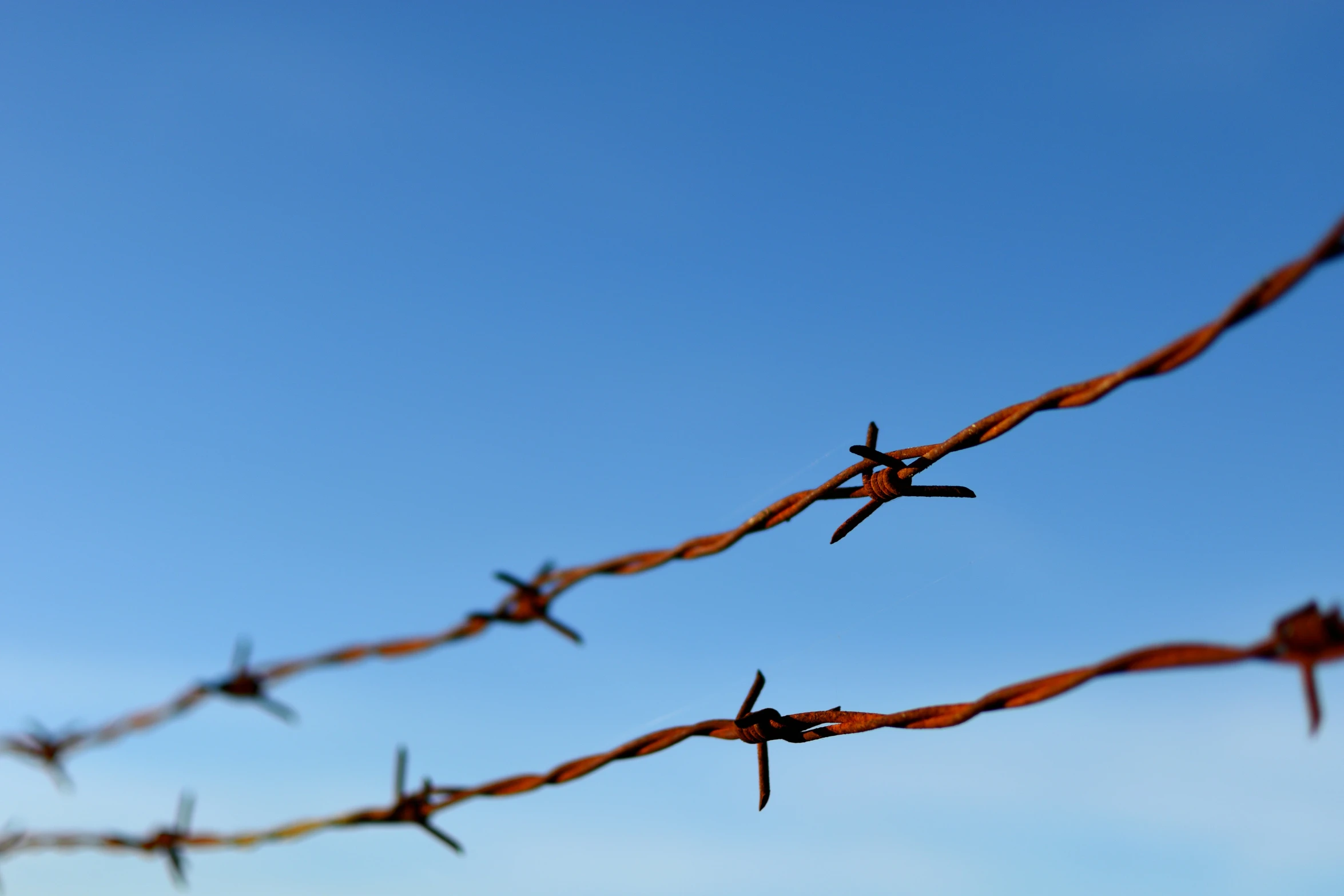 a single plane is seen through a wire fence