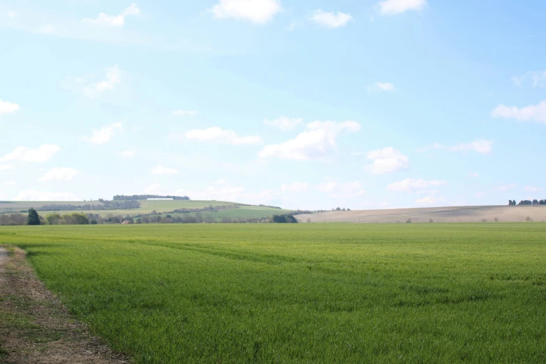 a single train is coming down the tracks in the middle of a field