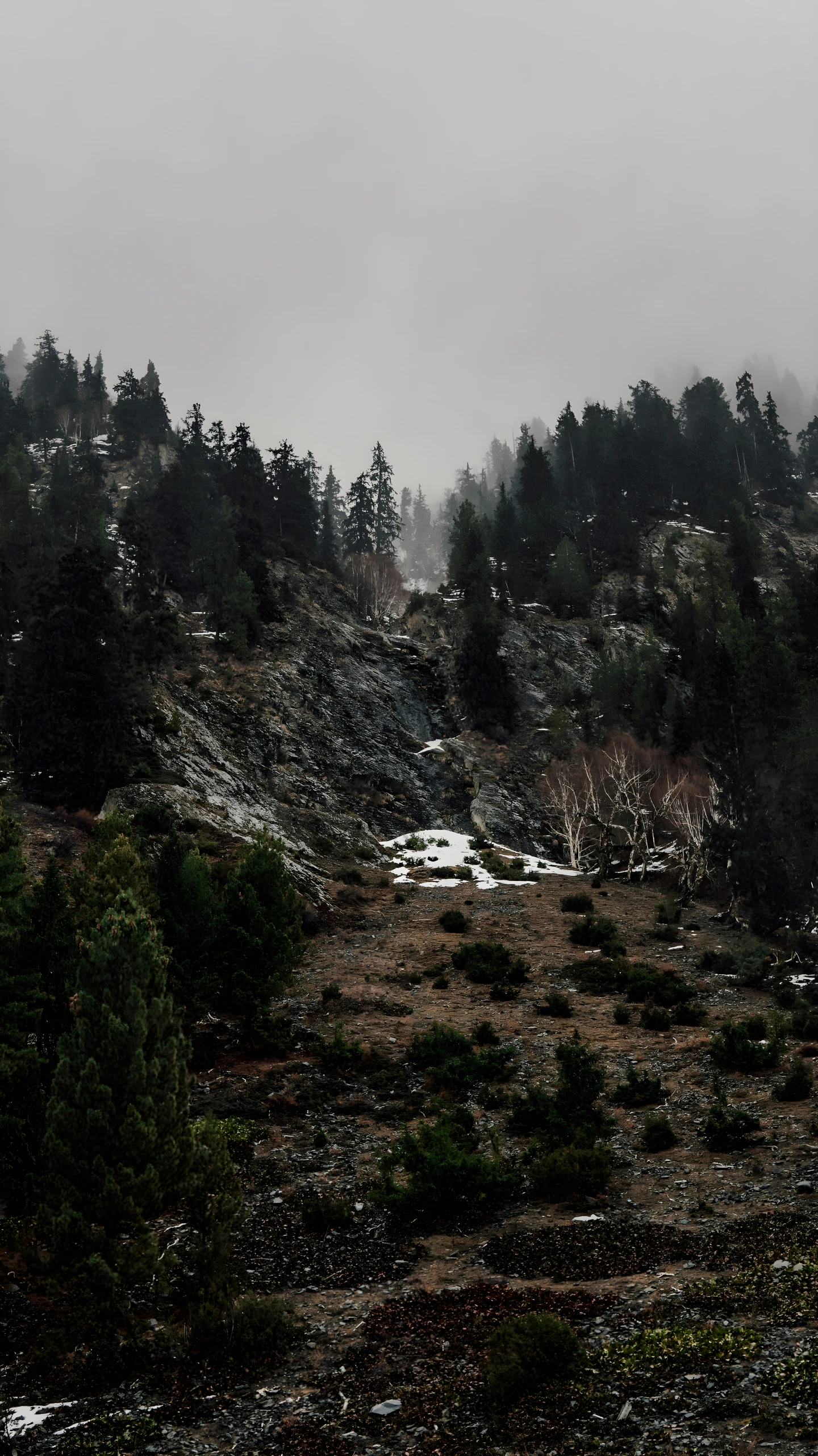 an overcast mountain with snow on it and trees