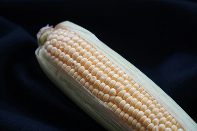 a corn cob laying on a black surface