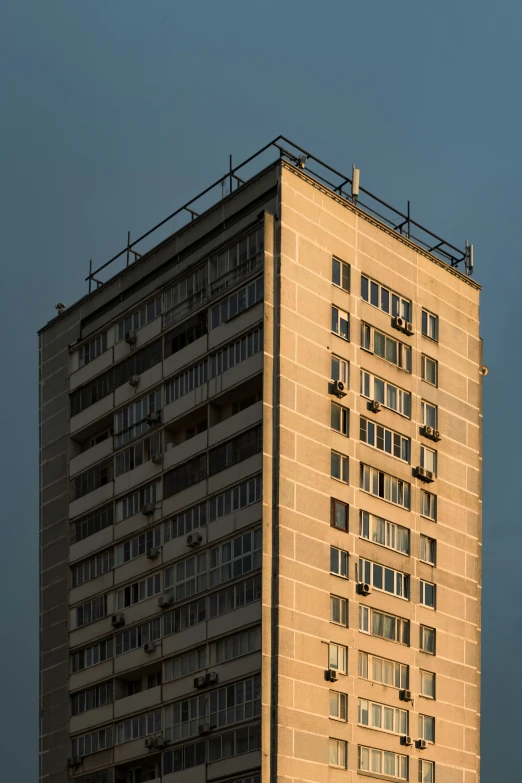 the building is tall and has a lot of windows