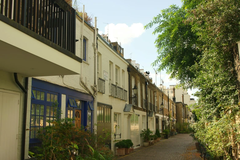 the trees and windows are all on this street