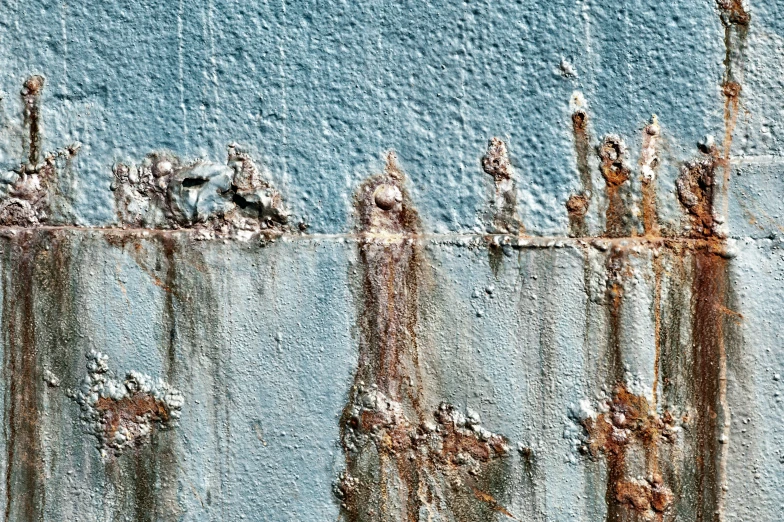 several birds are standing near a fence with rust on it