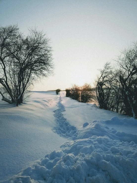 the snow covered path to the woods is completely covered in snow