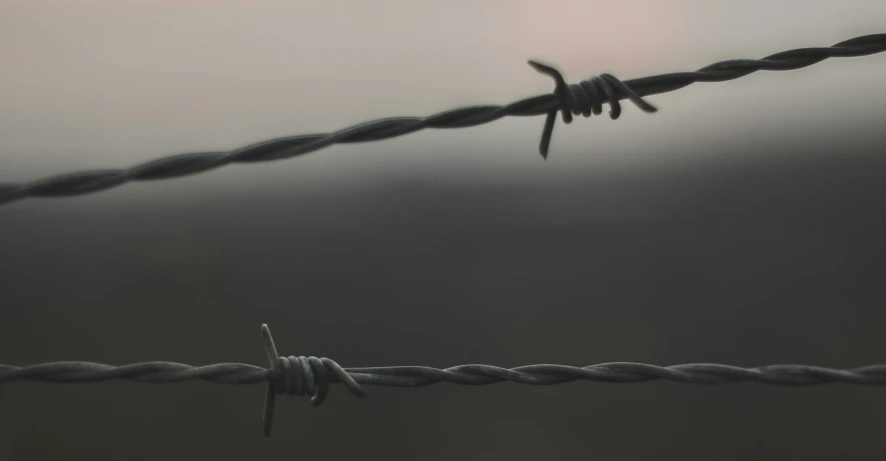 some wire on top of a grassy field