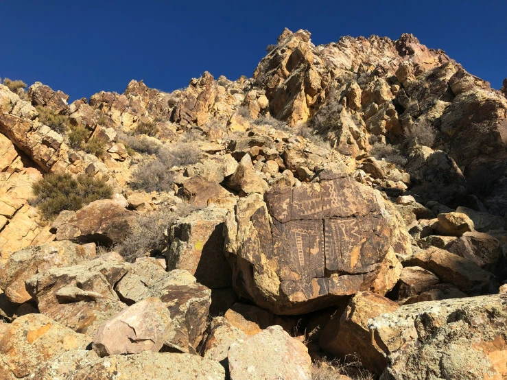 large rocks and grass grow near each other