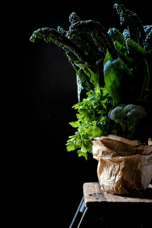 a couple of vegetables sitting on a stool