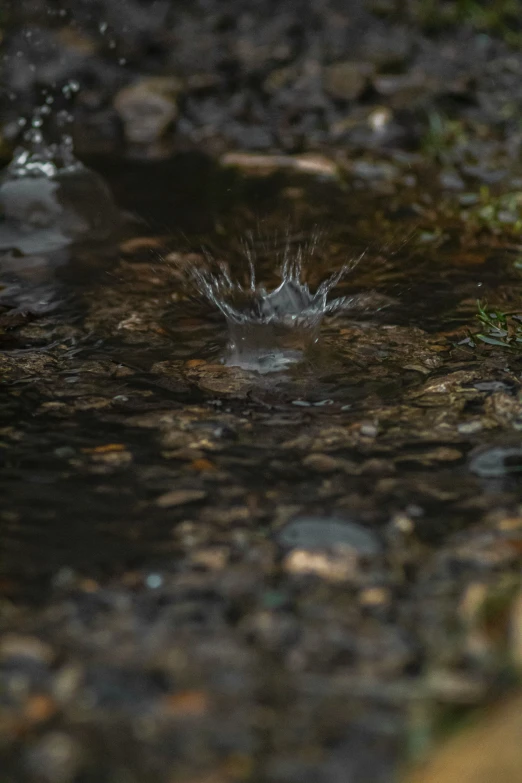 water spouting off of the ground in a dle