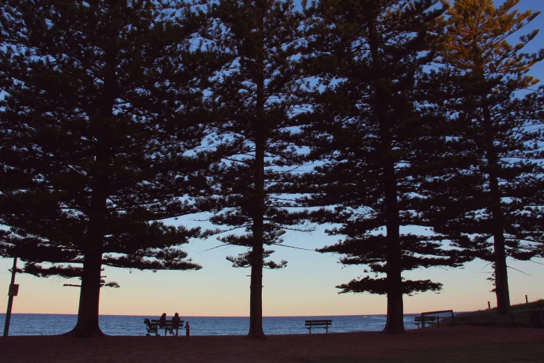 trees and two people sitting on a bench in front of a lake