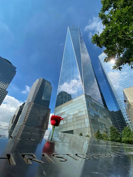 the two towers are surrounded by red flower