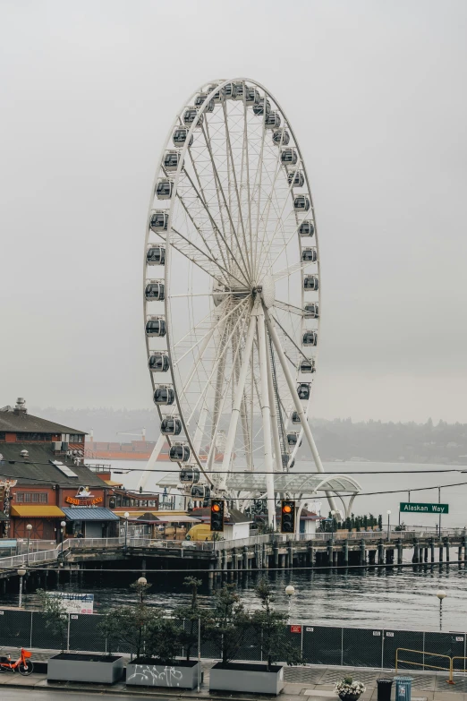 the large ferris wheel is situated near the water