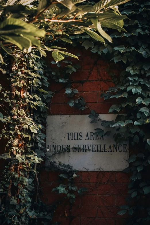 the sign for this area under surveillance is overgrown by plants