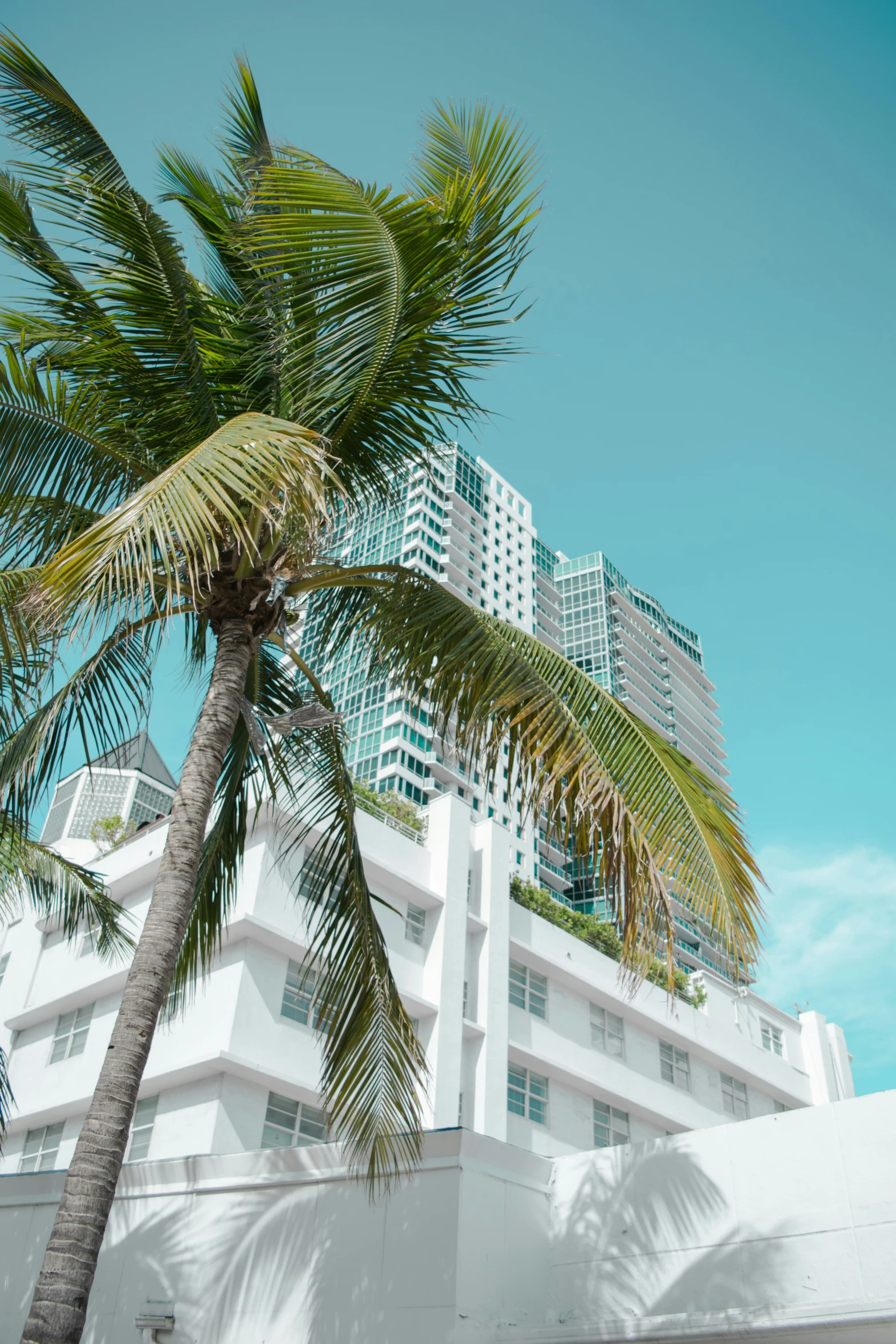 some very tall buildings with trees and some blue skies