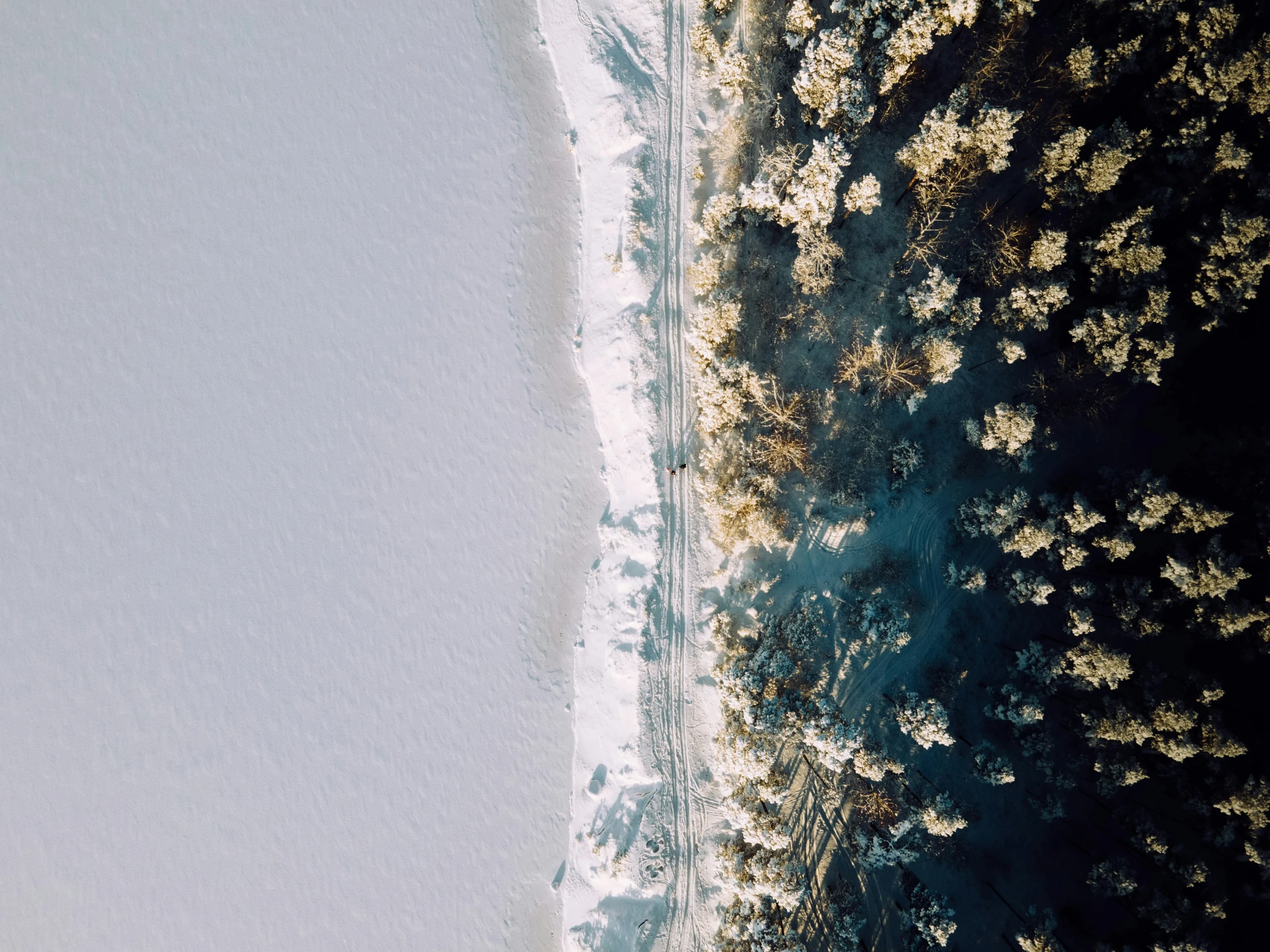 an aerial view of a snow covered beach