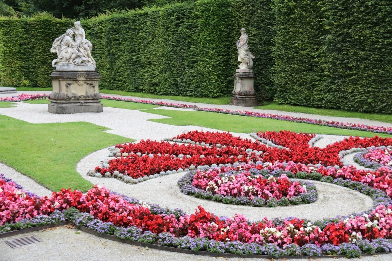 a beautiful garden with various plants and flowers