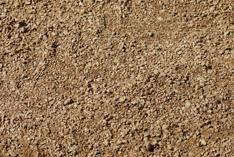 a bird is flying over a pile of dirt