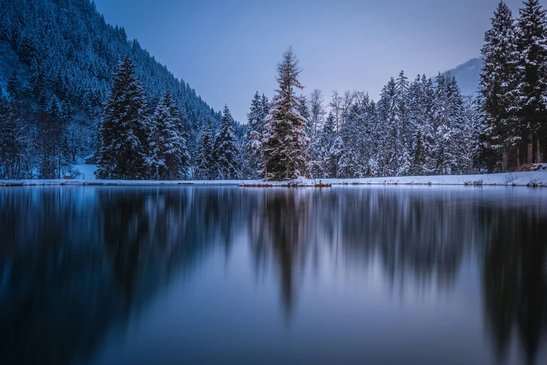 the trees are all covered with snow next to the water