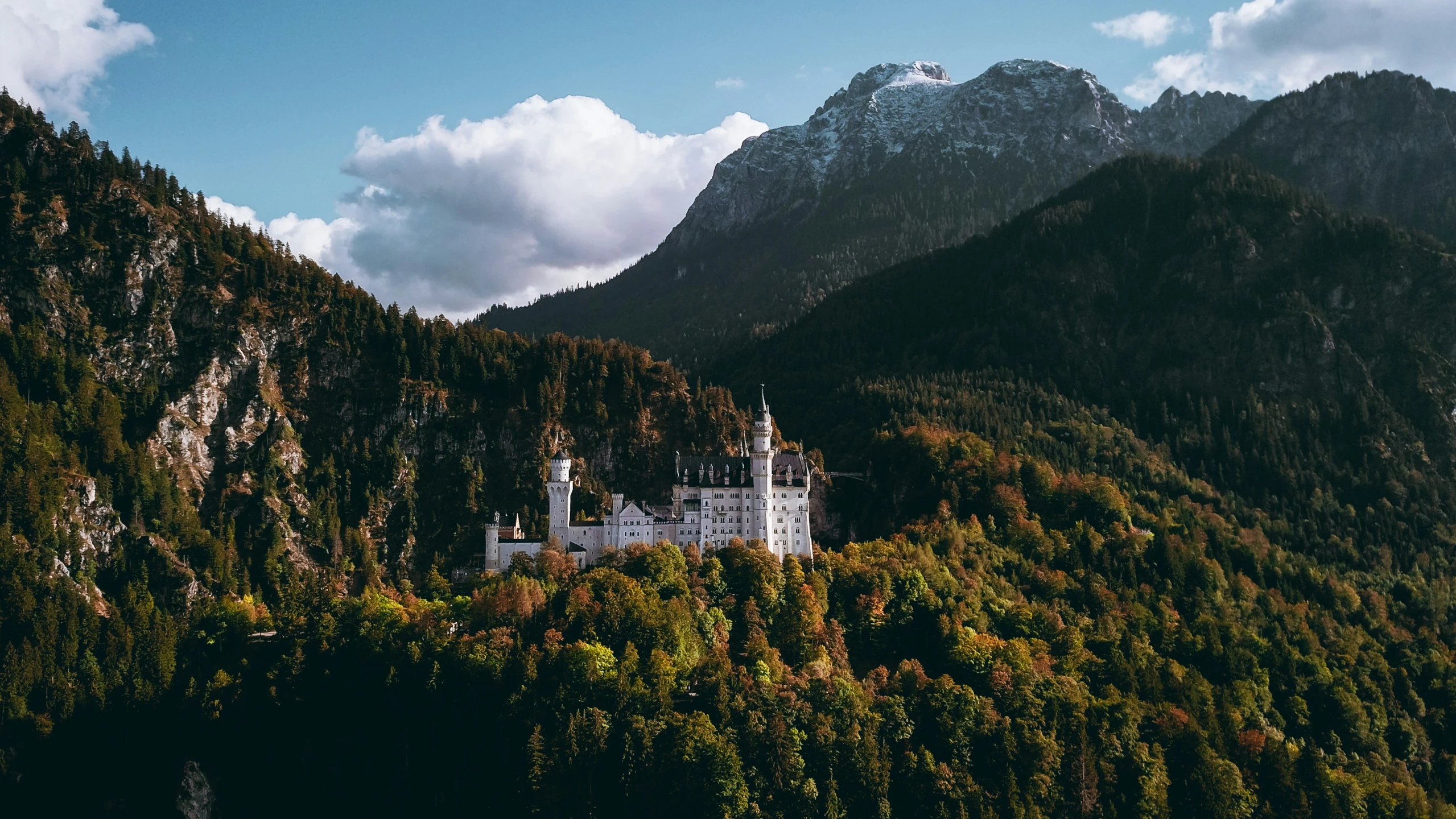 a castle in a tree covered forest surrounded by mountains