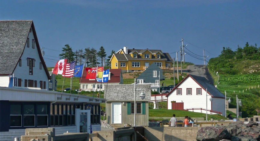 several different colored houses with american flags on them