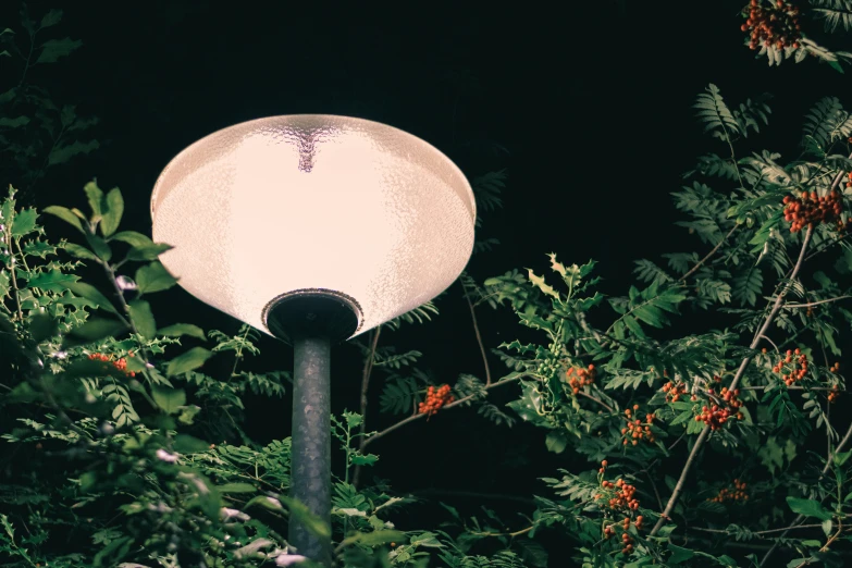 an old fashioned street light surrounded by greenery