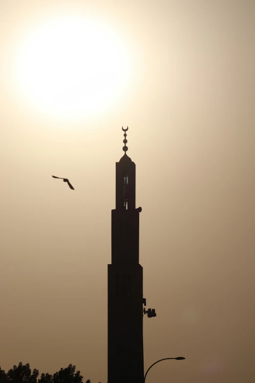 two birds are flying by a large building