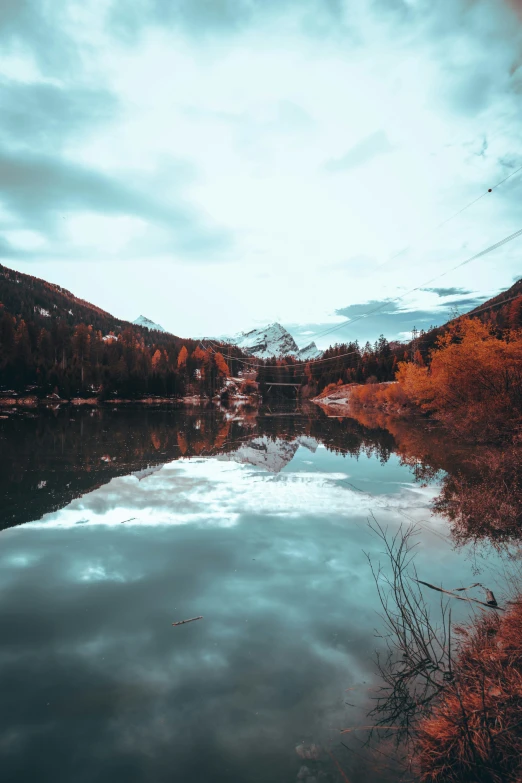 water, grass and trees with snow on mountains in the background