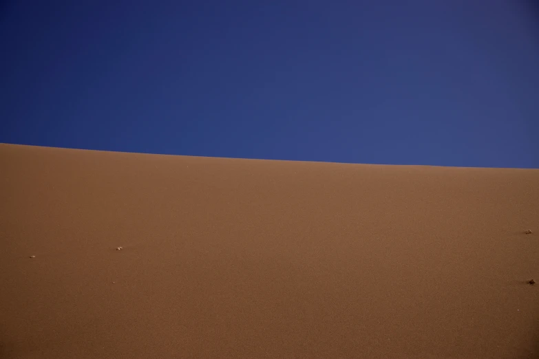 a lone bird in the distance atop the desert sand dunes